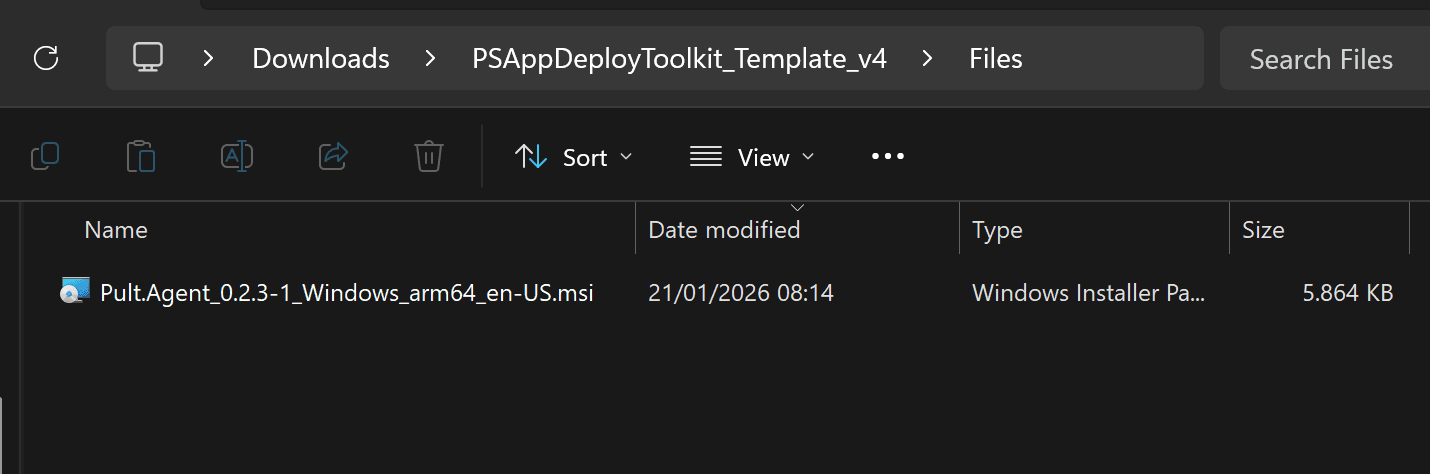 Files folder with Pult Agent MSI added