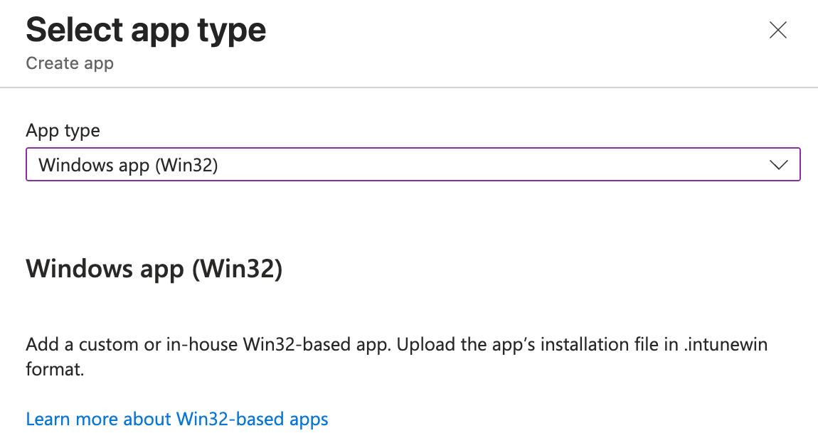 Win32 app wizard app information step